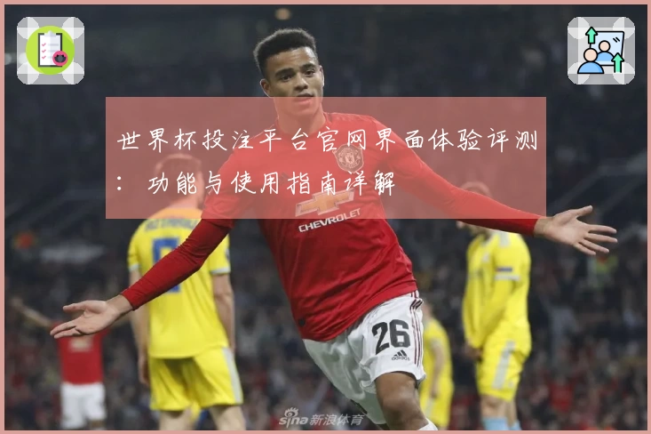 世界杯投注平台官网界面体验评测：功能与使用指南详解