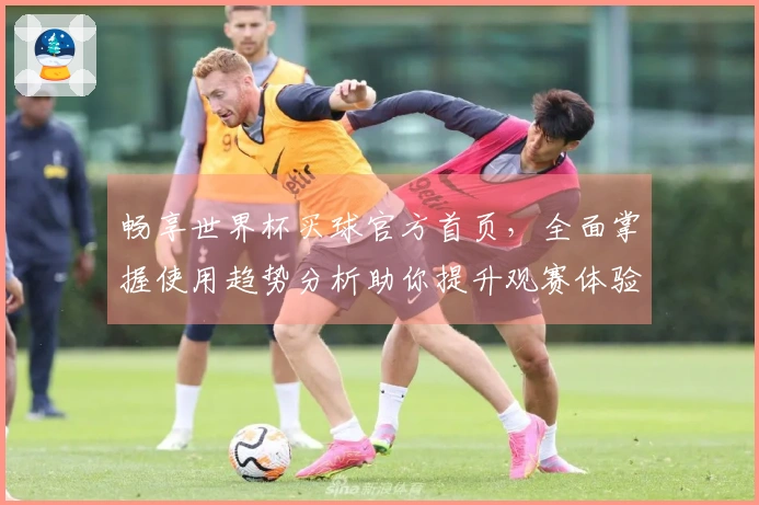 畅享世界杯买球官方首页，全面掌握使用趋势分析助你提升观赛体验