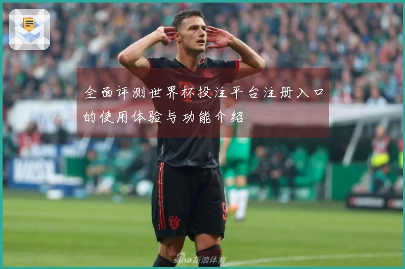全面评测世界杯投注平台注册入口的使用体验与功能介绍