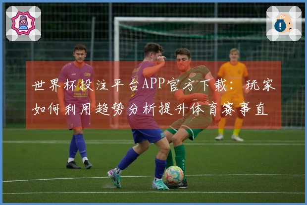 世界杯投注平台APP官方下载：玩家如何利用趋势分析提升体育赛事直播体验