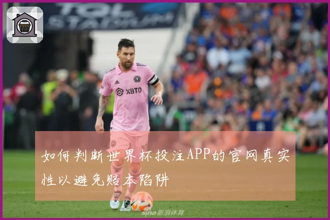 如何判断世界杯投注APP的官网真实性以避免赔本陷阱