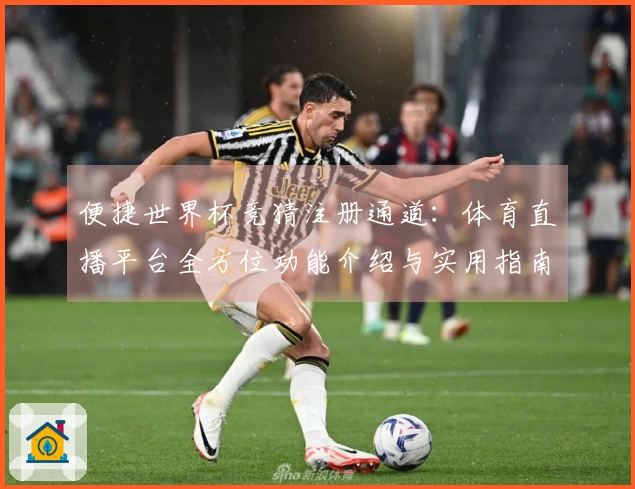 便捷世界杯竞猜注册通道：体育直播平台全方位功能介绍与实用指南
