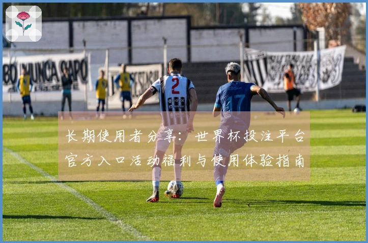 长期使用者分享：世界杯投注平台官方入口活动福利与使用体验指南