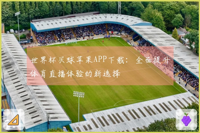 世界杯买球苹果APP下载：全面提升体育直播体验的新选择