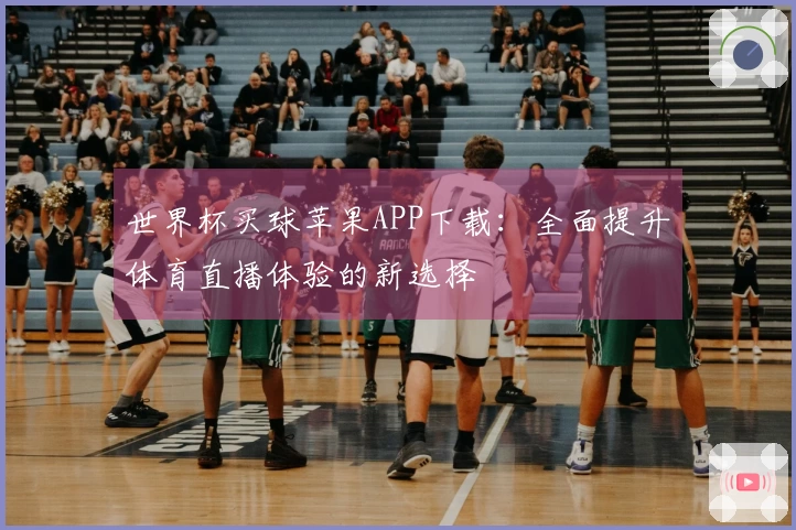 世界杯买球苹果APP下载：全面提升体育直播体验的新选择