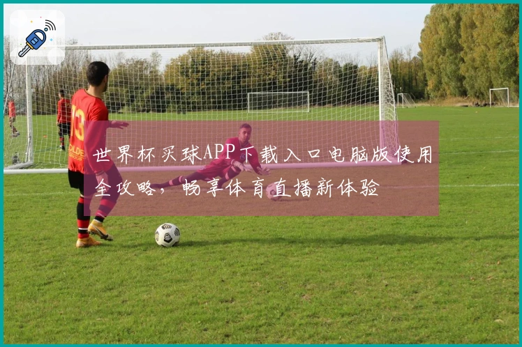 世界杯买球APP下载入口电脑版使用全攻略，畅享体育直播新体验