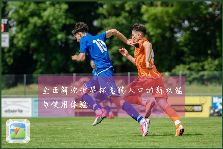 全面解读世界杯竞猜入口的新功能与使用体验
