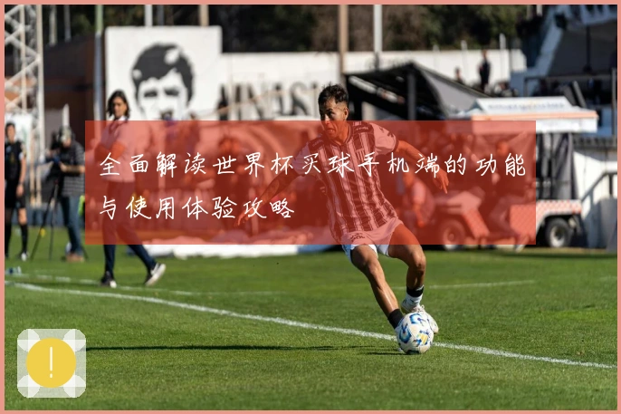 全面解读世界杯买球手机端的功能与使用体验攻略