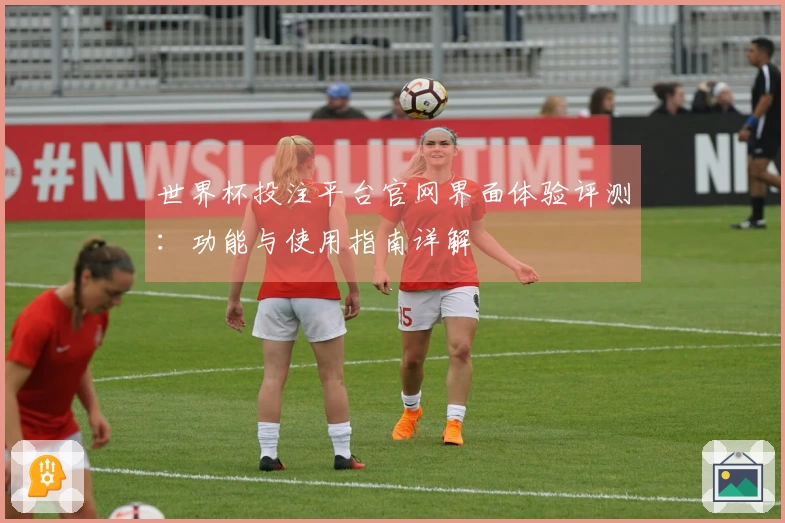 世界杯投注平台官网界面体验评测：功能与使用指南详解