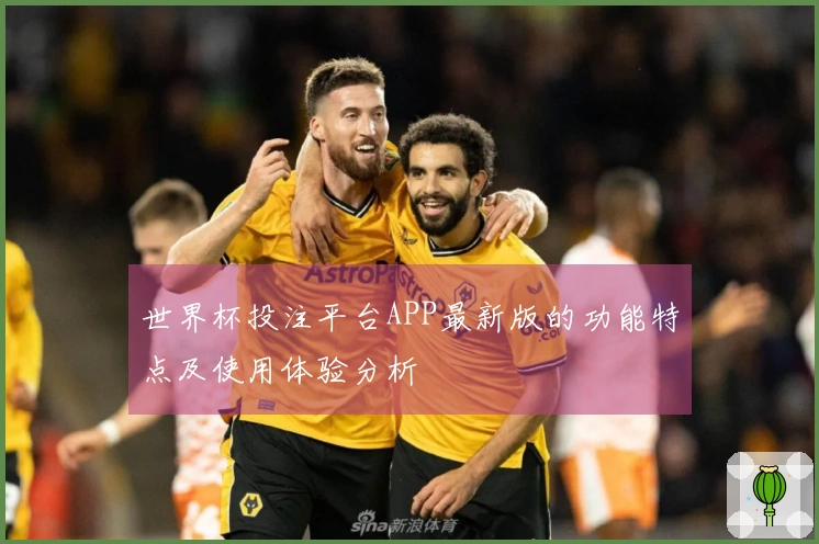 世界杯投注平台APP最新版的功能特点及使用体验分析