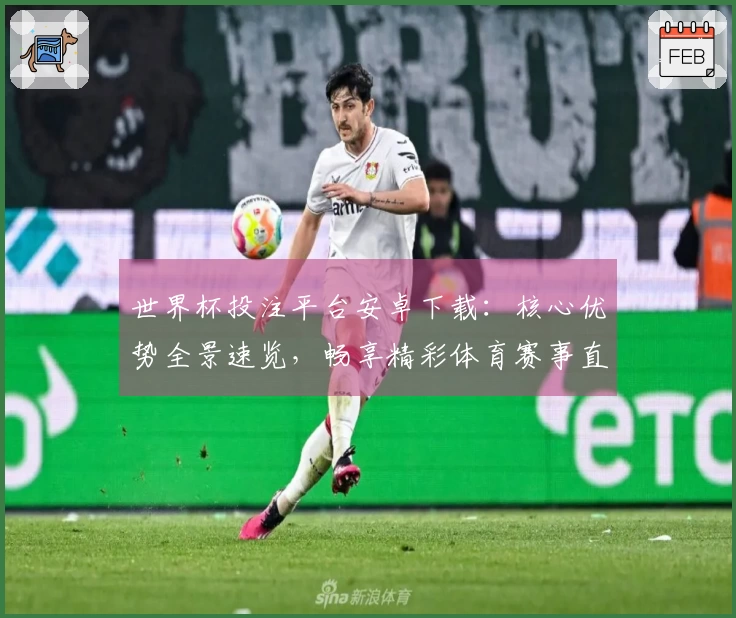 世界杯投注平台安卓下载：核心优势全景速览，畅享精彩体育赛事直播体验