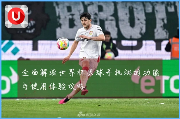 全面解读世界杯买球手机端的功能与使用体验攻略